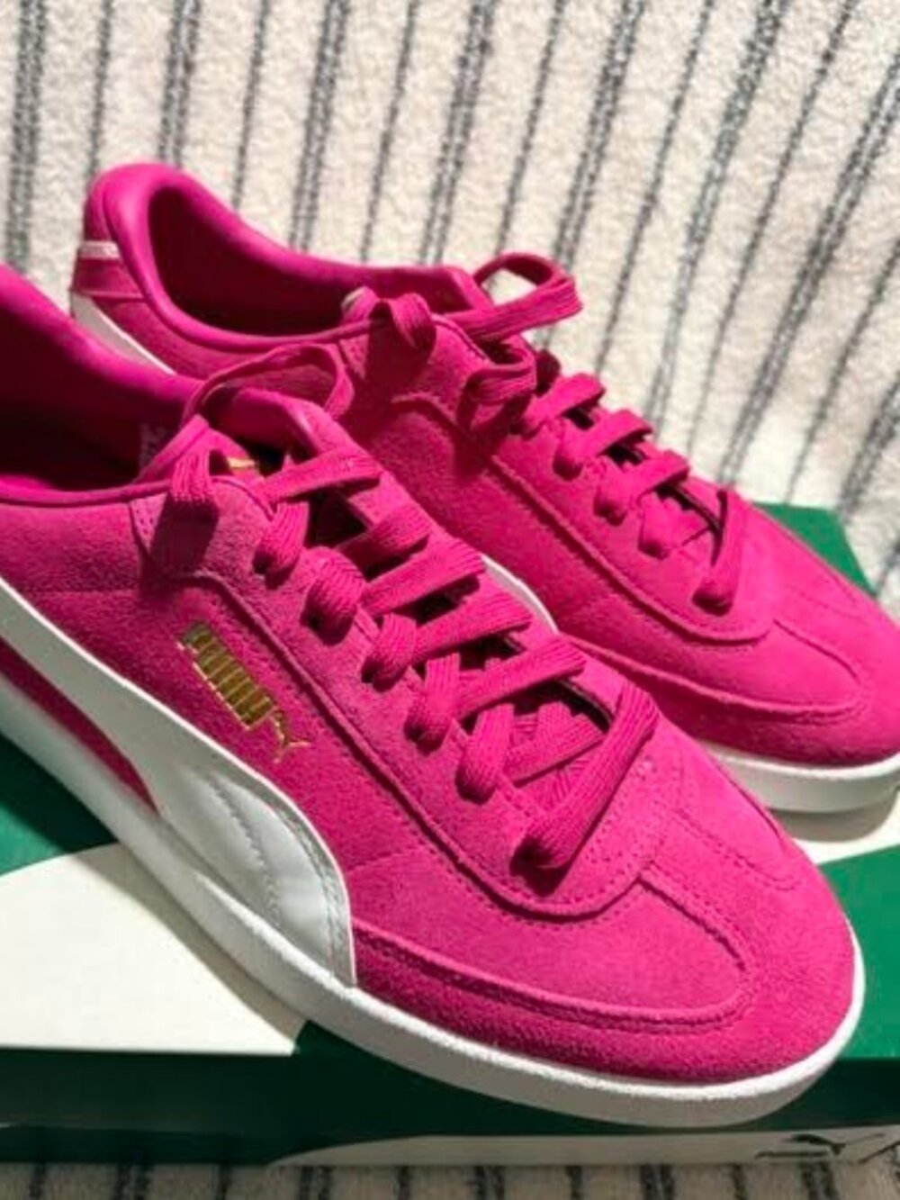 puma